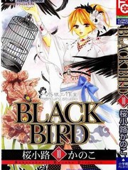 黑鸟恋人(BLACK BIRD)